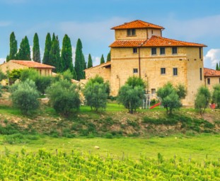 Italian Wine E-Newsletter