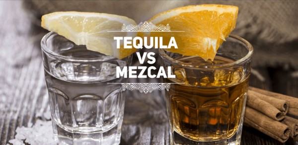 tequila vs mezcal