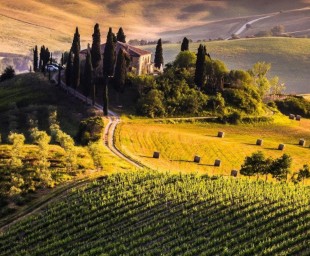 Chianti Classico in Tuscany