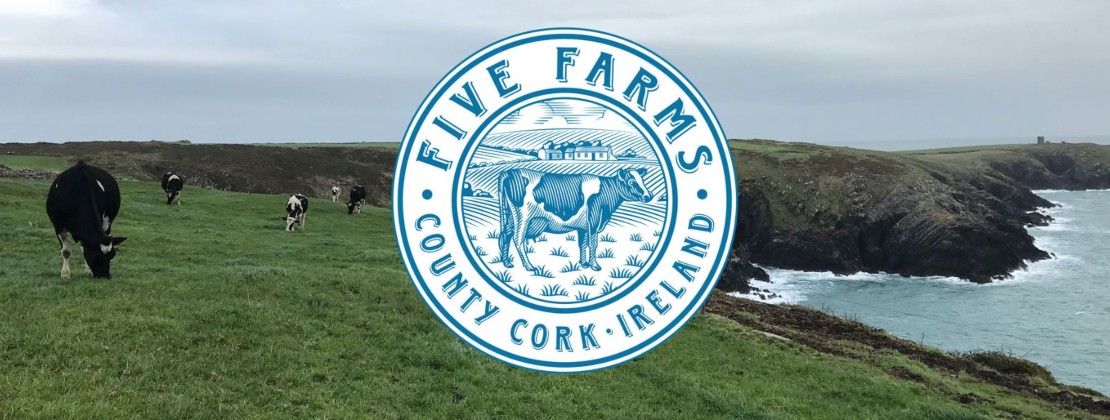 Five Farms Irish Cream Cows Grazing