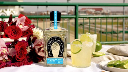 Herradura Horseshoe Margarita